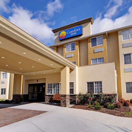 Comfort Inn Mount Airy Zewnętrze zdjęcie